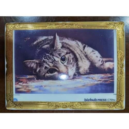 Embossed gold porcelain border decal paper