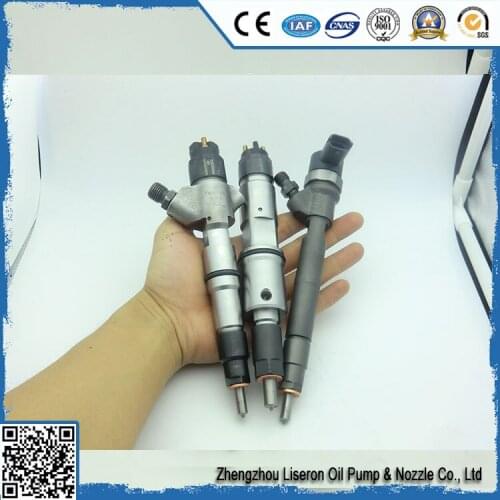 ERIKC 0 445 110 313 diesel injection 0445110313 assembling and disassembling common rail injector 0445 110 313 for JAC Foton