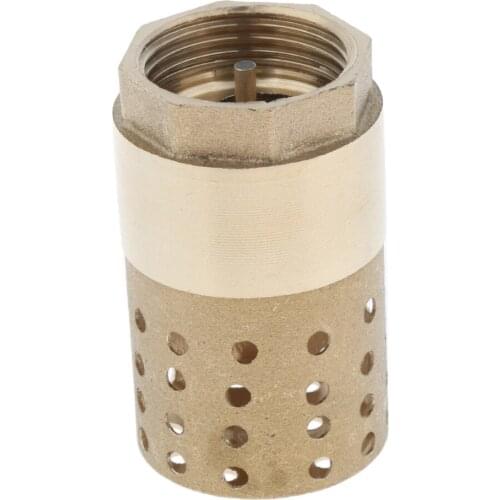 Brass In-Line Check Valve with Strainer 1 inch, Easy to Install