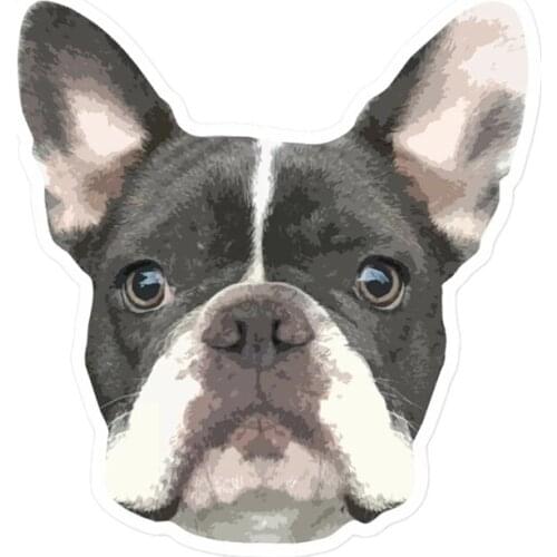 S41025# Various Sizes Funny Self-Adhesive Decal Black Tan Dog Car Sticker Waterproof Auto Decors on Bumper Rear Window