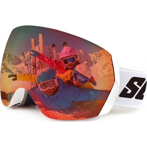 HouDeOS Ski Goggles