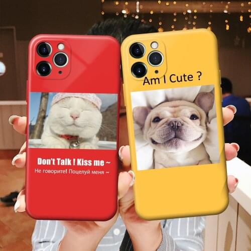 BigChen For iPhone 12 11 Case Cat dog Phone Case For iPhone 7 8 6 6S Plus X XR XS Max SE Soft TPU Back Cover Cute Painting Coque