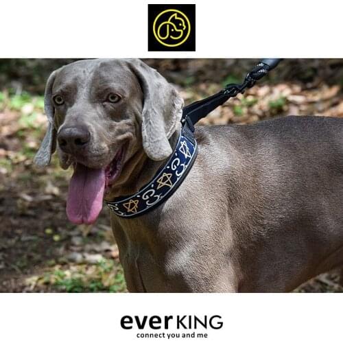 PU Dog Collar Luxury Designer Personalised Adjustable Pet Accessories for Small Medium Large Dogs Pitbull Bulldog Pugs Beagle