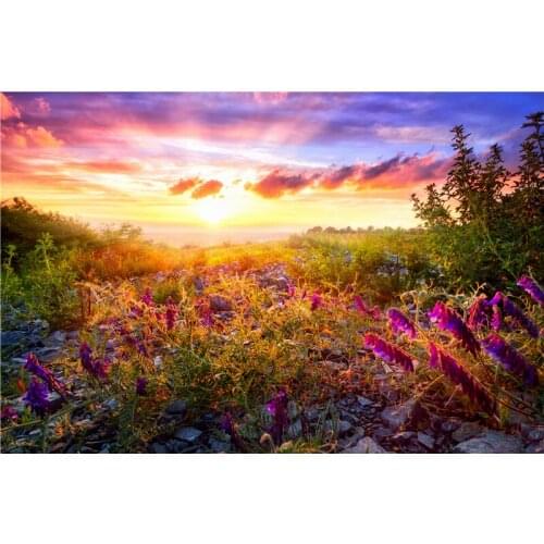 VinylBDS 10x10ft Scenic Backdrop Photography Painting Backgrounds For Photo Studio Microfiber Picture Backgrounds For Photo