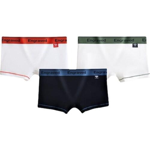 HaleyChan 3pcs Womens Underwear Ropa Interior Femenina Cotton Boxer Briefs Boyshort for Tomboy Trans Lesbian LGBT Underpants