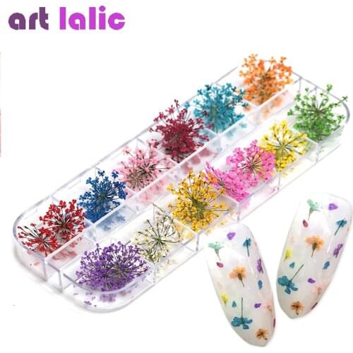 24Pcs 12 Patterns 3D Dry Flowers Stickers Real Dried Flower Nail Art Decoration Tips DIY Manicure Tools with Box