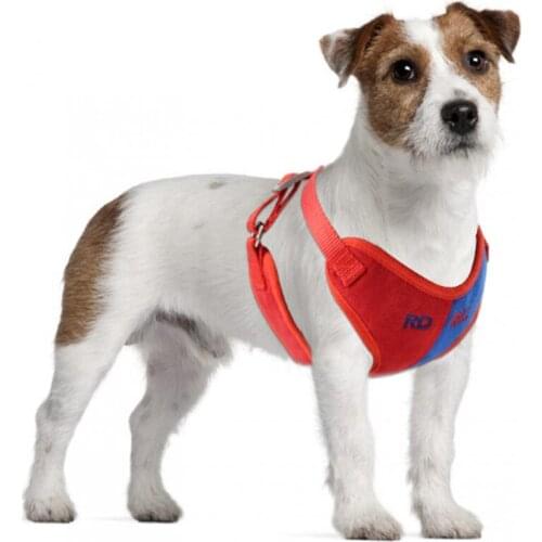 Pet Dog Cat Harness Vest Leash Puppy Bichon Frise Teddy Bulldog Adjustable Harness With Bell Walking Leash