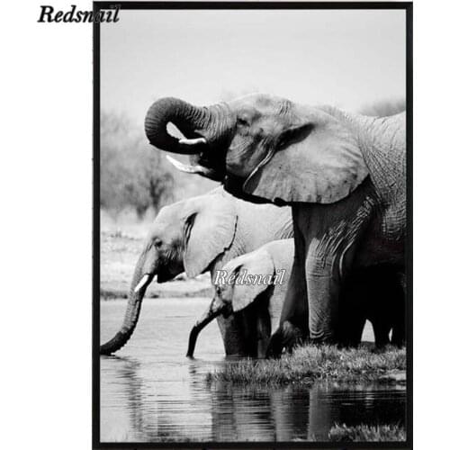Full Square Round Drill 5D DIY Diamond Painting Black White elephant Rhinestones Embroidery Cross Stitch kits mosaic Decor EE109