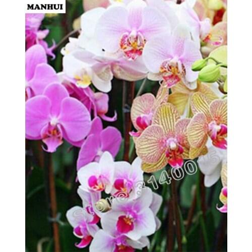 Diy Diamond Cross Stitch Painting Diamond Embroidery Square Diamond Mosaic Picture Home Decoration Butterfly flower BEC139