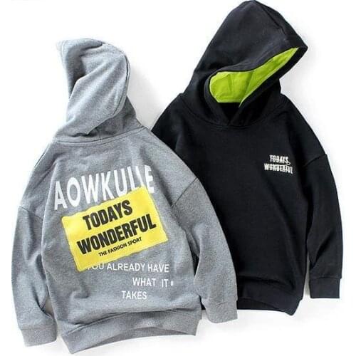 Boy Hoodies 2021 Spring Autumn Kid Sweatshirt Cotton Top Boys Long Sleeve Pullover Children Hip Hop Clothes