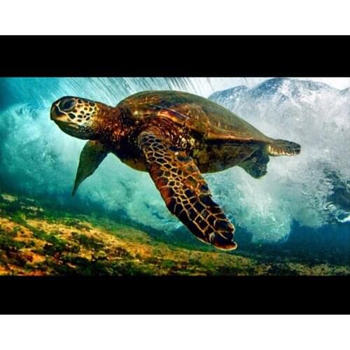 DIY Digital Painting By Numbers turtle oil painting mural Kits Coloring Wall Art Picture Gift frameless