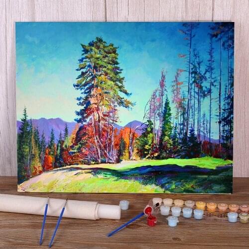 Landscape DIY Painting By Numbers Kit Oil Paints 50*70 Picture By Numbers Photo Wall Decoration For Handicraft