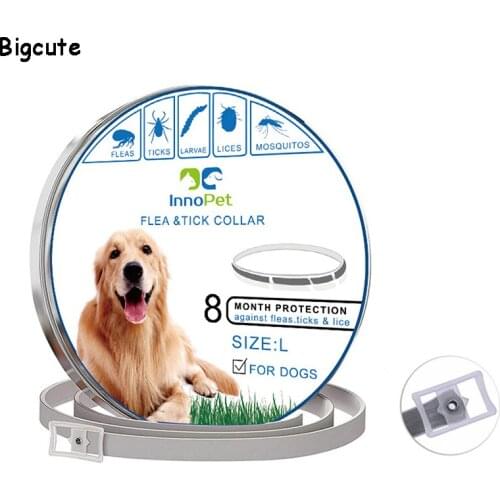 ZZSLHL Collars, Harnesses And Leashes