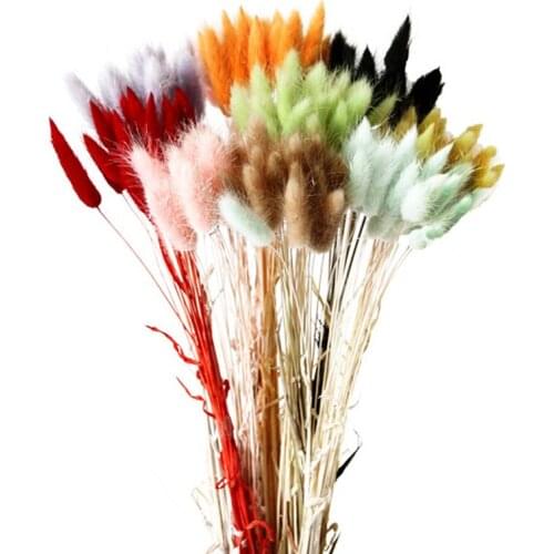 20Pcs Rabbit Tail Grass Natural Dried Flowers For Home Decoration Flower Arrangement Long Bunches Bouquet Props TS2