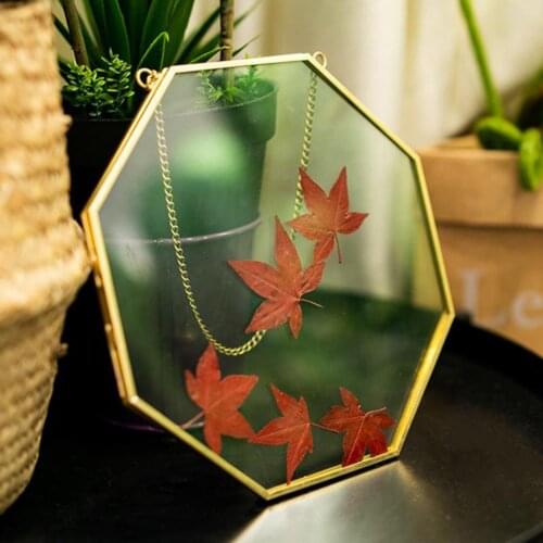 Vintage Style Glass Floating Frame Gold Brass Hanging Photo Frame Geometric for Display Plant Specimen