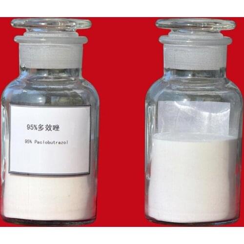 1kg Paclobutrazol 95% TC /PP333