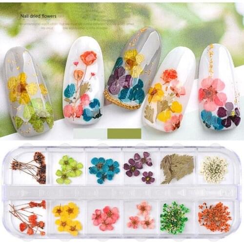 1box Mix Dried Flowers Leaf Nail Decoration Natural Floral Sticker3D Nail Art Designs Manicure Accessorie