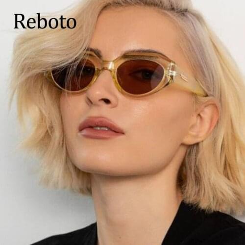 Brown Cat Eye Sunglasses Women Fashion 2021 Vintage Small Cateye Irregular Sun Glasses Female Oculos De Sol Feminino UV400