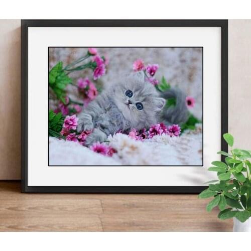 Diy Diamond Mosaic Animals Cat 5d Square Diamond Painting Cross Stitch Kit Full Dill Embroidery Wall Decor