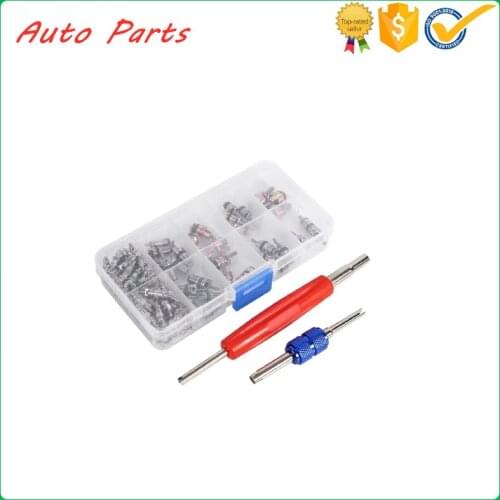 102pcs Assortment A/C R134a/R12 Refrigeration Tire Valve Stem Core kit Air conditioning valve core for R12 R134a A/C Repair Tool