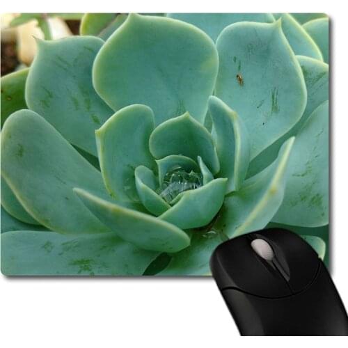 Natural green succulent plants printed Heavy weaving anti-slip rubber pad office mouse pad Coaster Party favor gifts 220x180x3mm