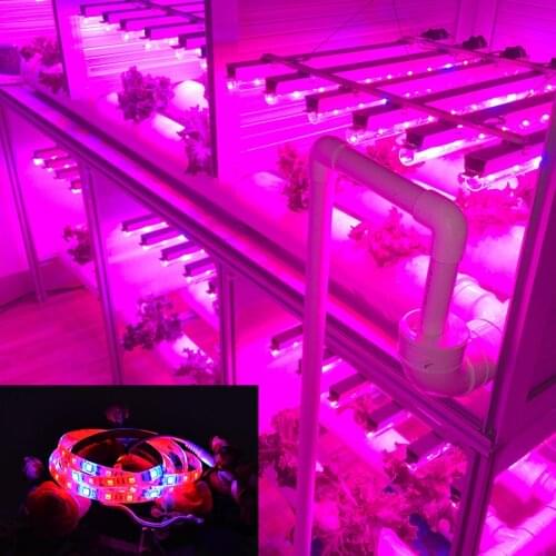 Aamasun Phytolamps For Plants China