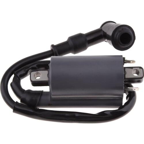 Motorcycle Ignition Coil For Buyang 260 260cc 300cc D300 G300 Engine Scooter Moped ATV Gokart Dirt Bike Replacement Parts