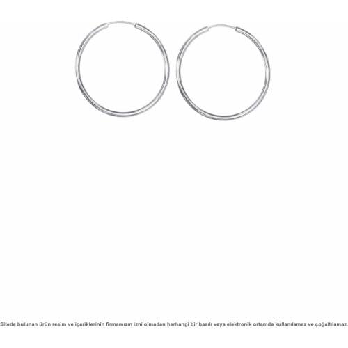 Silver Small Size Ring Earrings