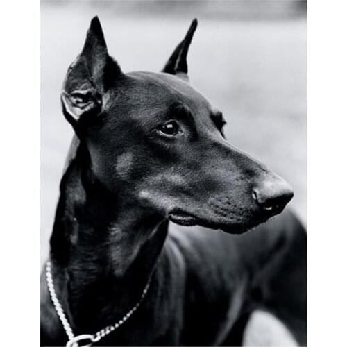 Pet dog DIY 5d diamond painting doberman dog pattern cross stitch full diamond embroidery home decoration children gift HR5487