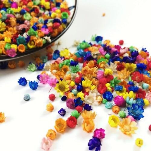 200pcs Dried Flowers Real For DIY Art Craft Epoxy Resin Candle Making Aromatherapy Jewellery Filling Dried Flowers Accessories