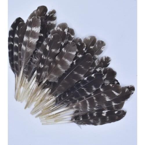 20Pcs Natural Feathers Crafts Decoration Pheasant Feather Turkey Feathers Handicraft Accessories Decor Jewelry Carnival Plumes