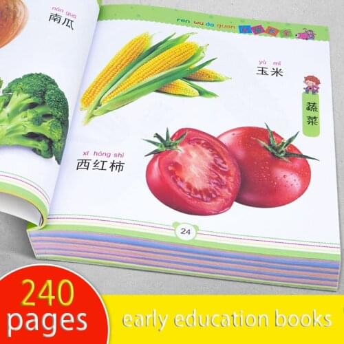 3 Books Early Childhood Education Baby Cognitive Card Toddler Picture Literacy Card Enlightenment Recognition Book Preschool New