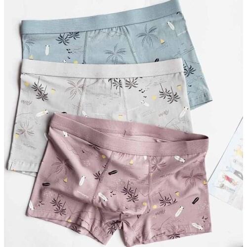 3pcs/Lot New Panties Mens Underwear Soft Modal comforty Men print Shorts Plus Size