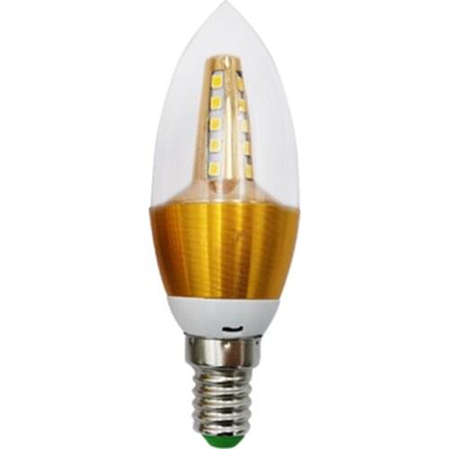 Marmenkina Light Bulbs