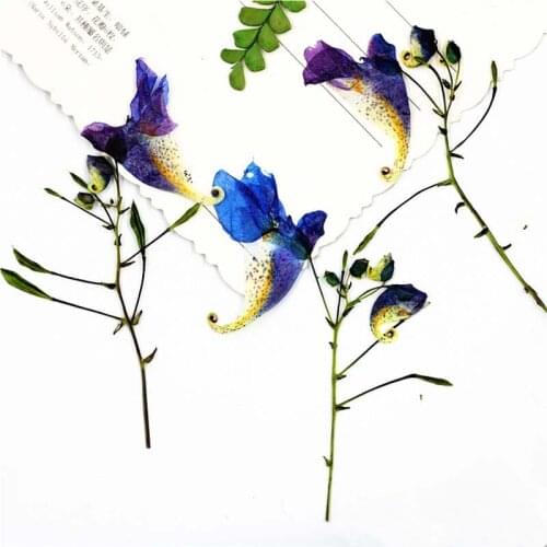 Ожерелья NYAConfetti China At AliExpress