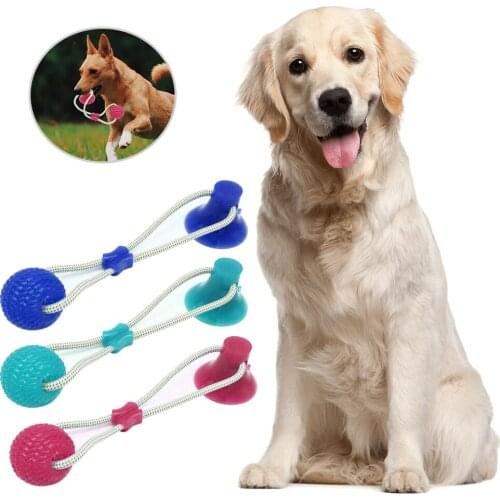 Multifunction Pet Molar Bite Dog Toys Rubber Chew Ball Cleaning Teeth Safe Elasticity Soft Puppy Suction Cup Biting Dog Toy