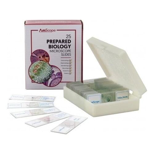 AmScope 25 Glass Prepared Zoological and Botanical Microscope Slides with Plastic Box PS25P