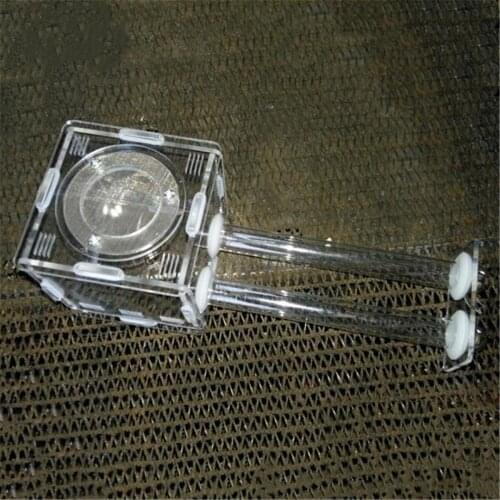 Mini Double Tubes Ant Nest Formicarium Colony Feeding Area Acrylic Farm Nest