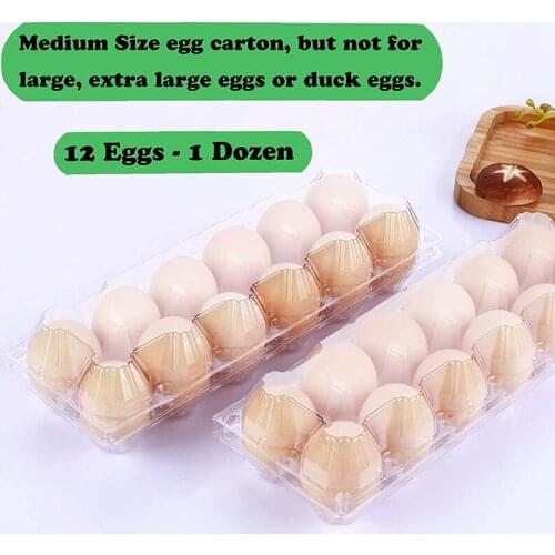 Plastic Egg Cartons Bulk Clear Plastic Egg Holder Holds Up To 12 Eggs Reusable Egg Container For Refrigerator Storage