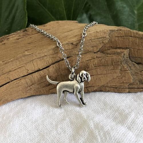 Coonhound Dog Pendant necklace for women Blue Tick Hound Dog Breed Jewelry Pet necklace Gift for Friend