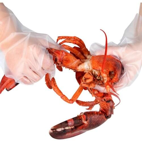 100PCS Disposable CPE Gloves High Quality Thickened Transparent Plastic Cooking Kitchen Use Resistance Strong Toughness