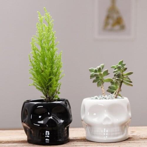 Nordic Creative Ceramic Skull Head Portrait Black And White Flower Pot Decoration Living Room Home Decorat Ornaments