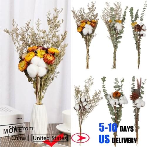 Natural Dried Flowers Dried Eucalyptus Leaf Real Branch Acorn Pine Wheat Cotton Nordic Home Wedding Party Decoration Grasses Ste