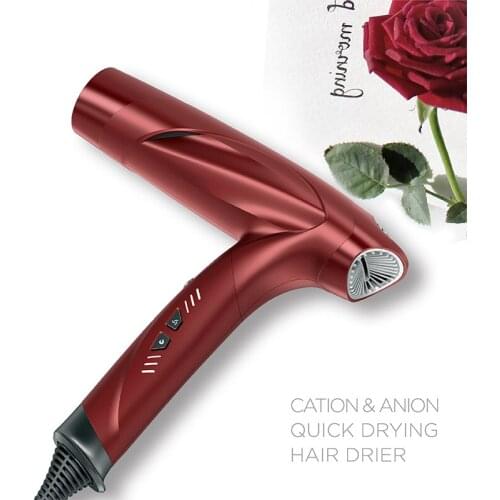 GUYLAND Hair Dryers