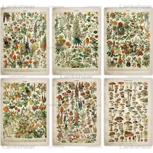 New Vintage Flower Poster Antique Floral Print Art Botanical Educational Poster Mushroom Wall Art Home Decor Oil Paintings