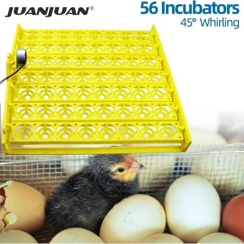Egg Incubator Automatic 56 154 Plastic Bird Eggs Duck Chicken Eggs Hatching Machine 220V Incubator Trays with Auto Turn Motor