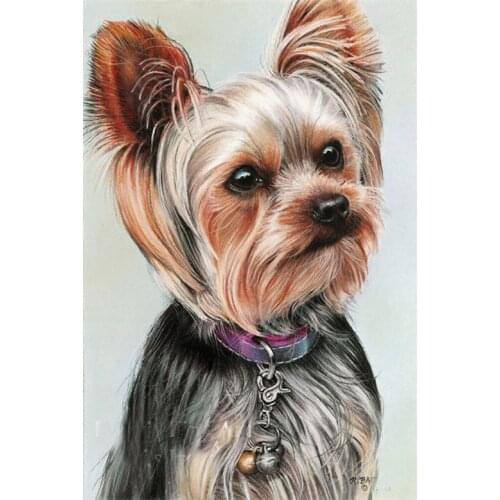 5D Diy Diamond Painting animal dog Yorkshire Terrier Full Square Round Diamond Embroidery Rhinestone Cross Stitch Mosaic E1575