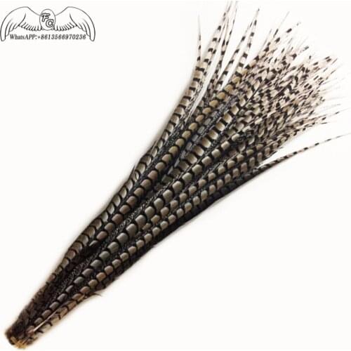 Factory Price 10pcs 70-110cm Lady Amherst Pheasant Feather For Carnival Partry Dress Decoration Natural Pheasant Feathers Plume