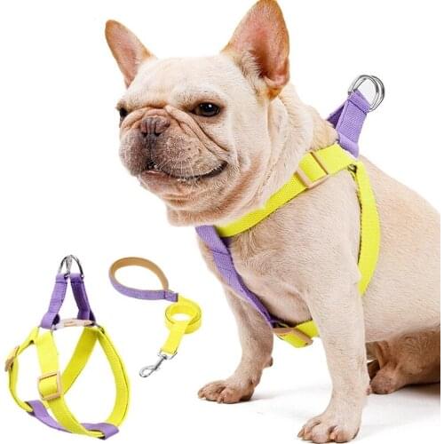 Dog Harness And Leash Pull Nylon Pet Leashes For Small Dogs French Bulldog Chihuahua Lead Leash And Collar Set For Yorkies