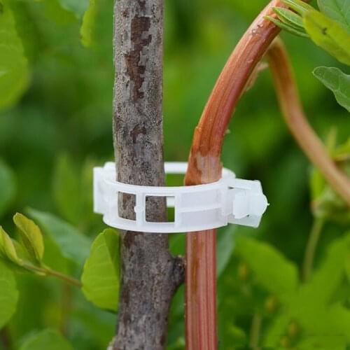 Durable 30mm Plastic Plant Support Clips For Types Plants Hanging Vine Garden Greenhouse Vegetables Garden Ornament